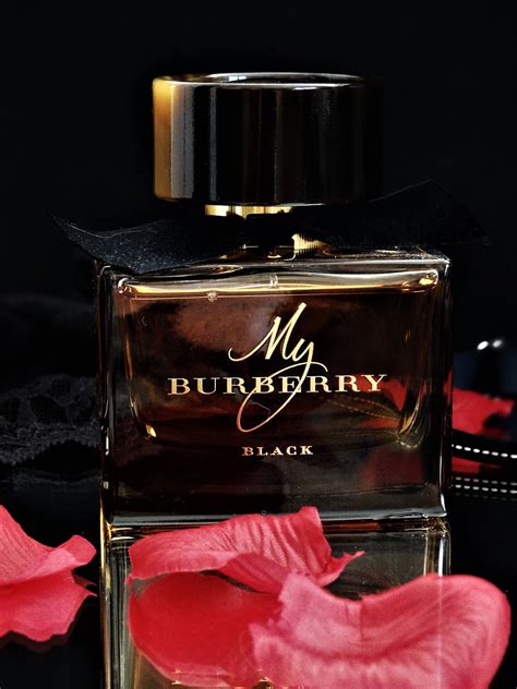 my burberry black notes olfactives|burberry black perfume reviews.